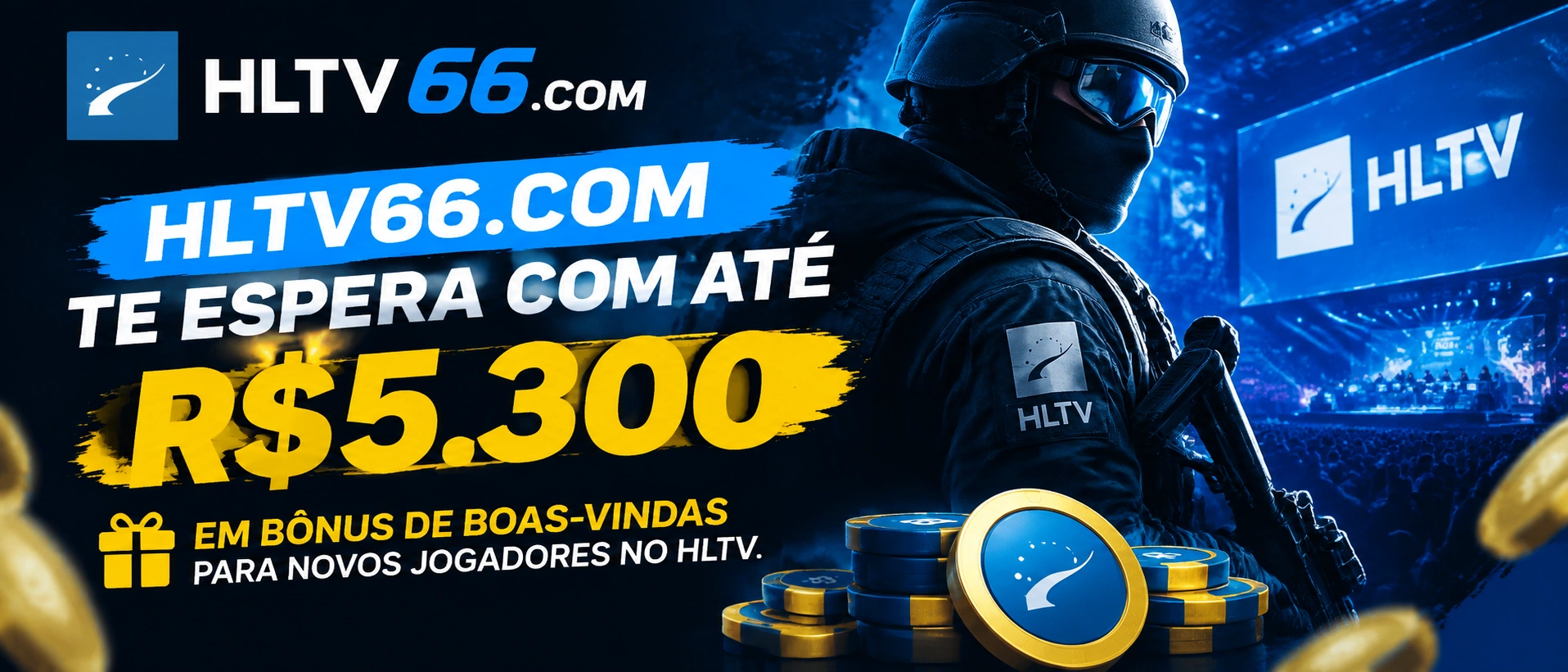 Painel da hltv com perfil, VIP, saldo e áreas de acesso rápido